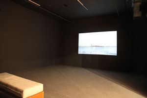 view of the show1